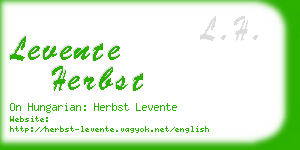 levente herbst business card